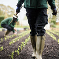 Leather Lined Wellington Boots